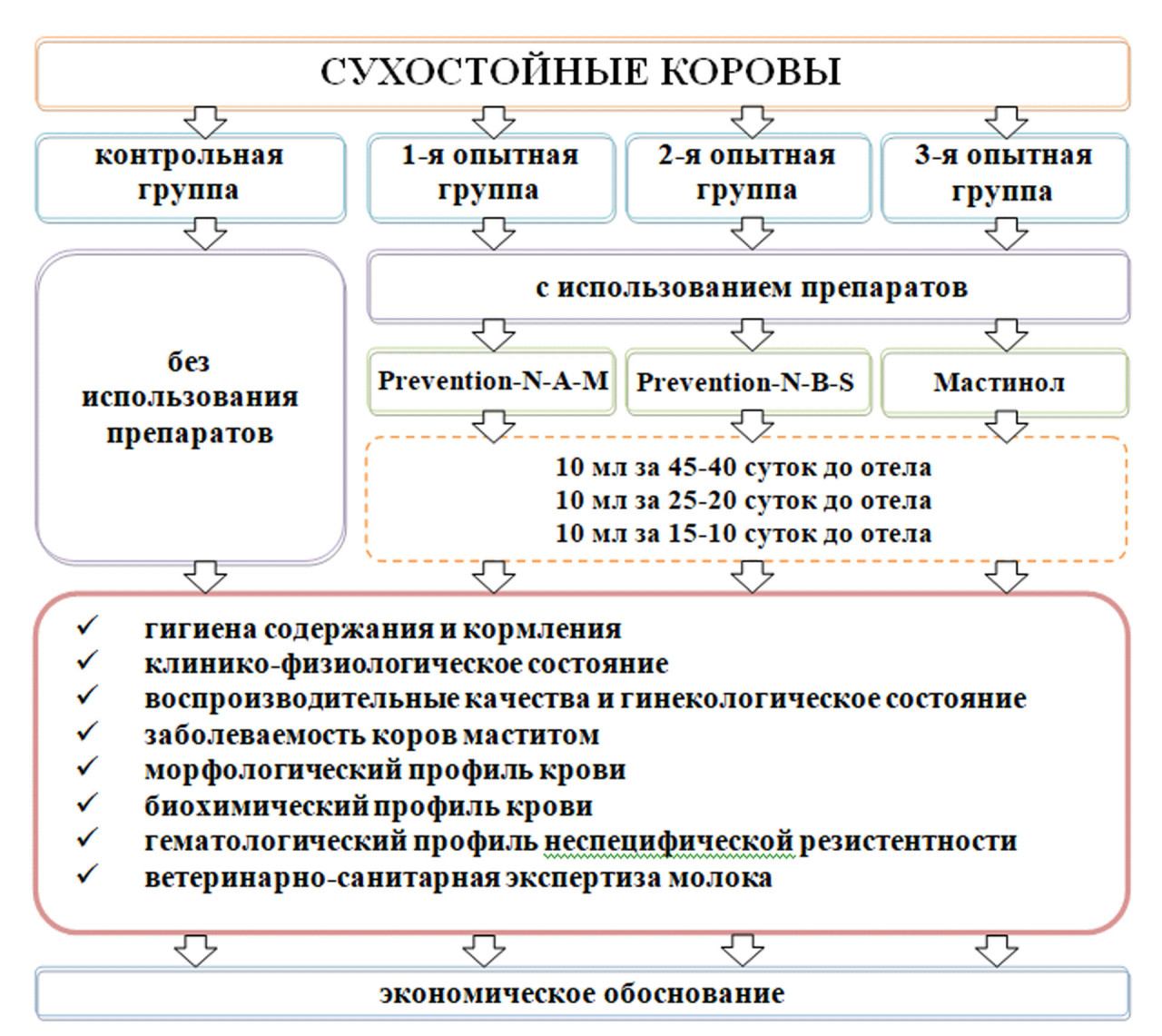Рисунок 6 – Схема профилактики мастита коров 