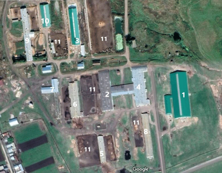 Рисунок 8 – Схематическое расположение построек 