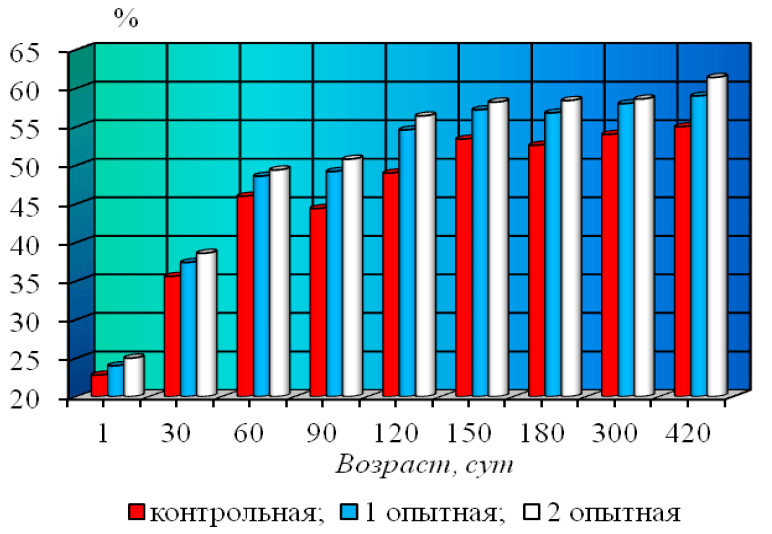 Рисунок 23 – Динамика фагоцитарной активности лейкоцитов 