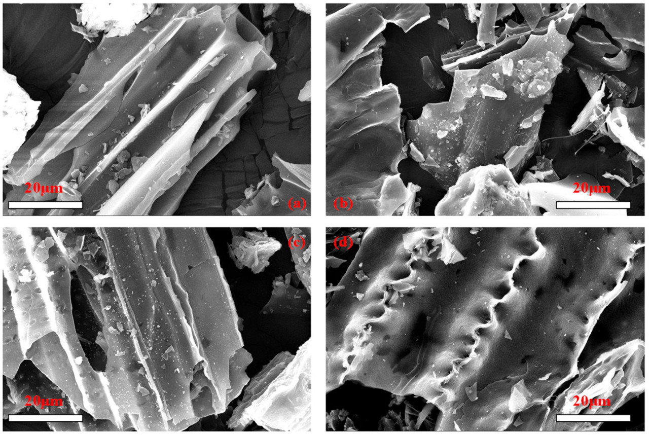 Рисунок 2. СЭМ-изображения биоугля из кукурузной соломы до адсорбции (a) и после адсорбции (b–d).