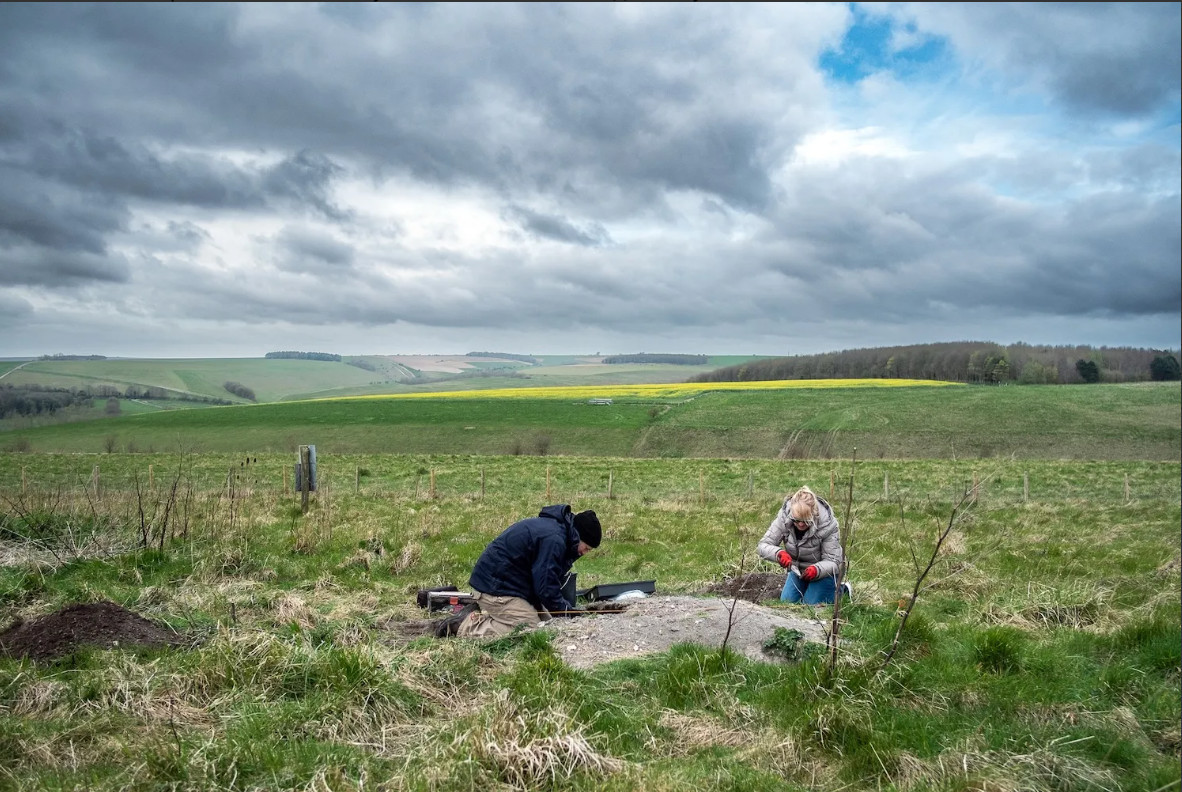Археологи обнаружили в некоторых кучах миллионы фрагментов костей животных. Фото: Cardiff University