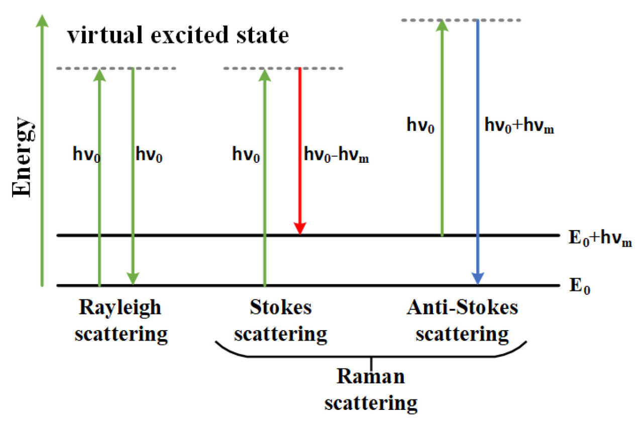 <b>Рисунок 1.</b>Диаграмма уровней энергии электронов, иллюстрирующая процессы рэлеевского рассеяния и комбинационного рассеяния.