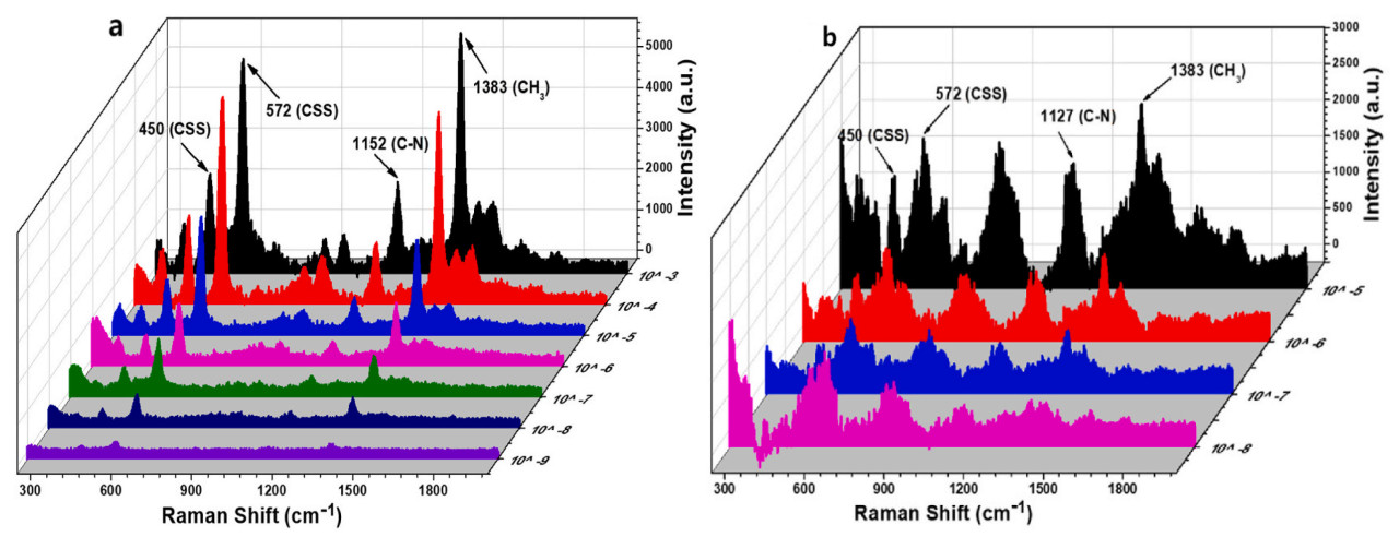 <b>Рисунок 5.</b>(<b>а</b>) Спектры SERS раствора тирама при различных концентрациях на жесткой подложке Ag/Al, (<b>б</b>) Спектры SERS раствора тирама при различных концентрациях на гибких чипах PVA/целлюлоза/Ag.