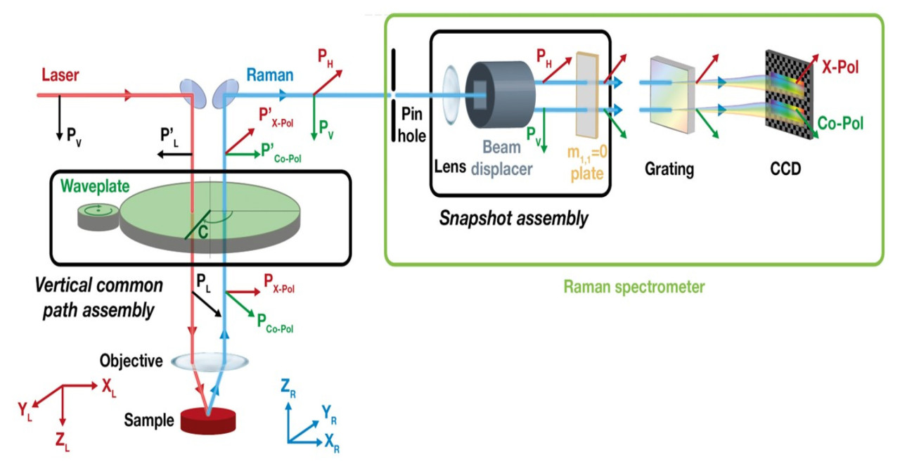 <b>Рисунок 7.</b>Структурная схема рамановского микроскопа с возможностью поляризационного анализа.