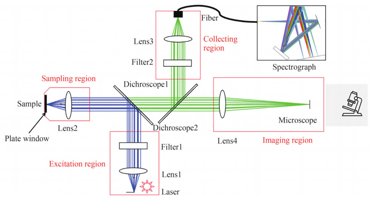 <b>Рисунок 8.</b>Структурная схема пространственно смещенного рамановского спектрометра.