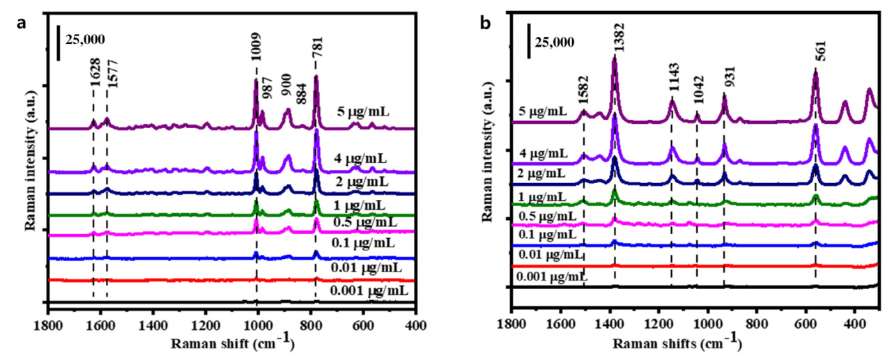 <b>Рисунок 19.</b>Спектры SERS (<b>а</b>) Tbz и (<b>б</b>) тирама в стандартных растворах с различными концентрациями (pH = 5).