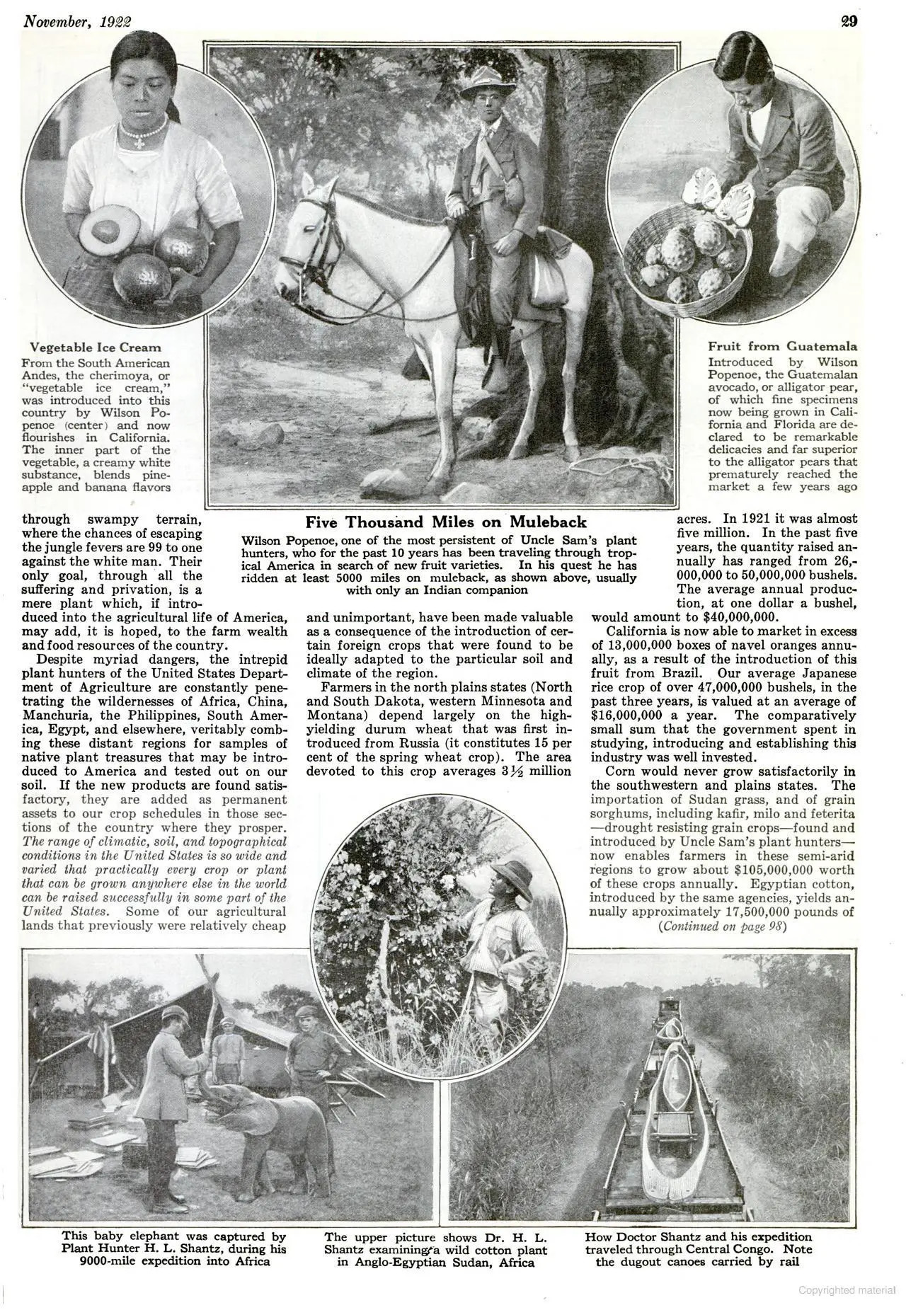  Popular Science, ноябрь 1922 г.