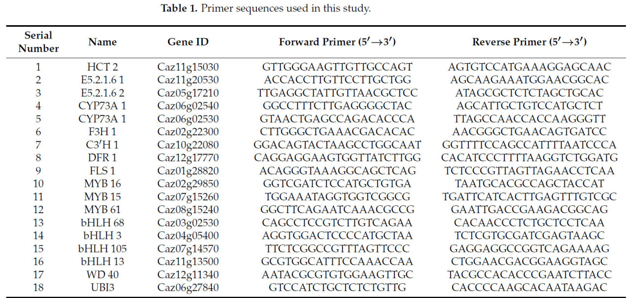 Таблица 1. Последовательности праймеров, использованные в этом исследовании.