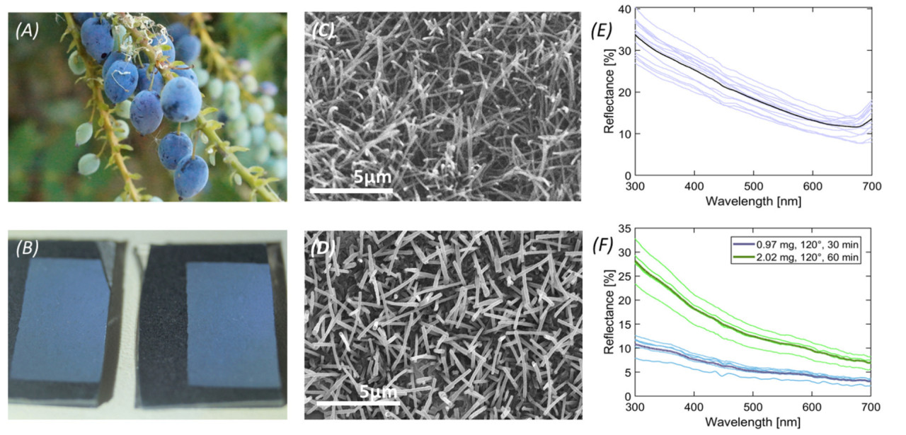 Схема, показывающая, как структура воска отражает свет