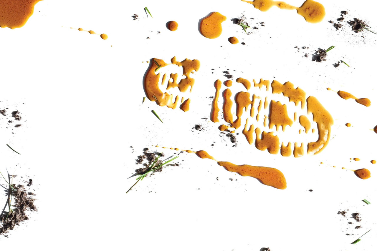 Пчеловоды используют новые инструменты и технологии, чтобы дать отпор преступникам, ворующим ульи. 