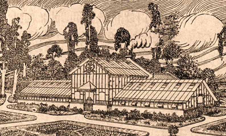 Ананасная оранжерея графа Шувалова