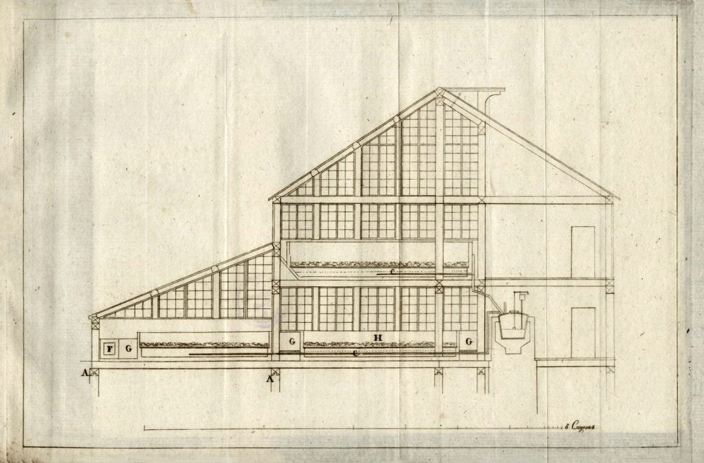 К. Тон. Паровая теплица и оранжерея, изобретения графа Дмитрия Зубова