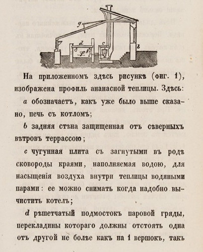Наставление к разведению ананасов, 1856 г.