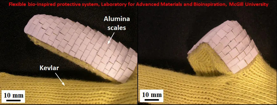 Франсуа Бартела и его коллеги разрабатывают крошечные чешуйки, напоминающие рыбьи, для покрытий рабочих перчаток из кевлара. 