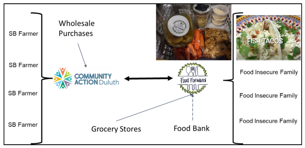 Рисунок 1. Формирующийся общественный продовольственный путь (C-BFoodPathway).