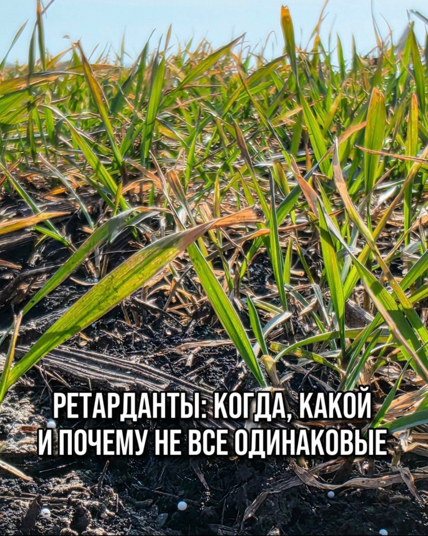 Перейти