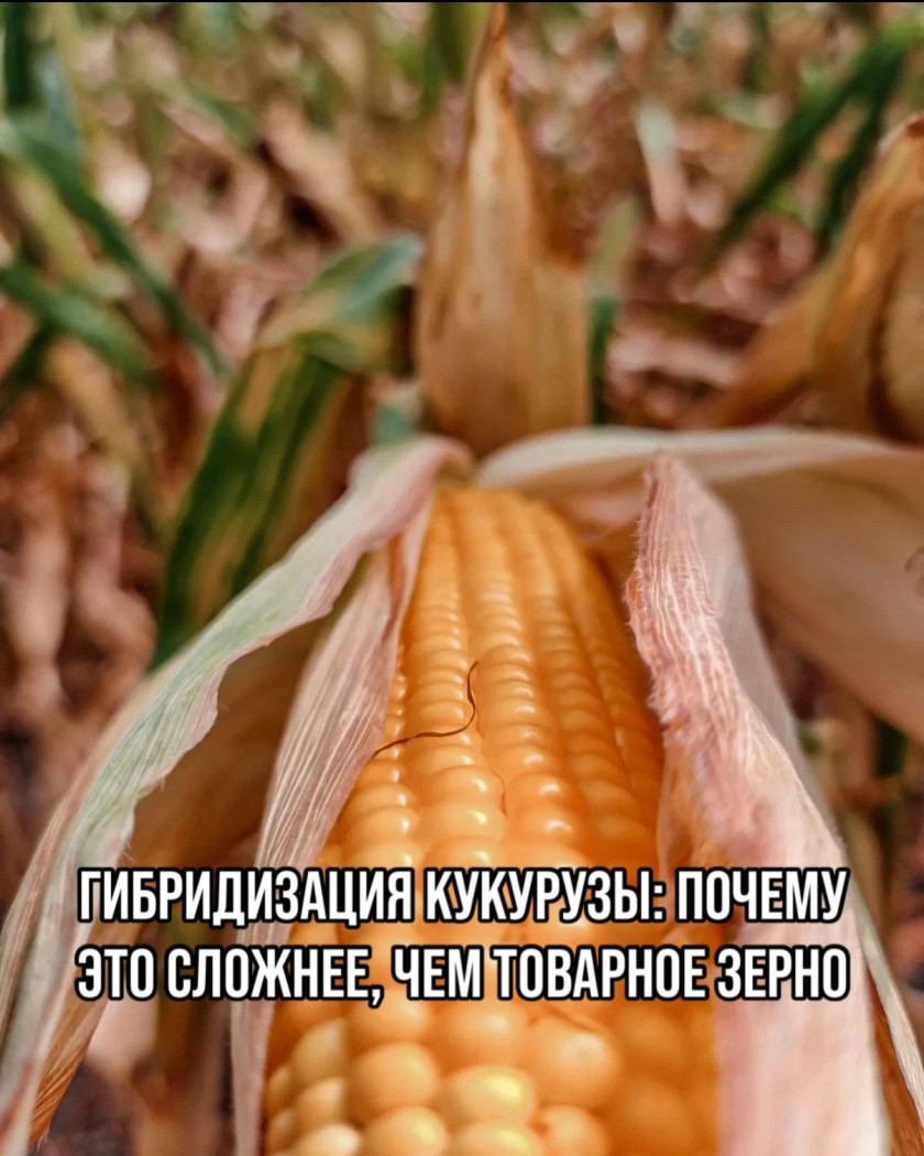 Перейти