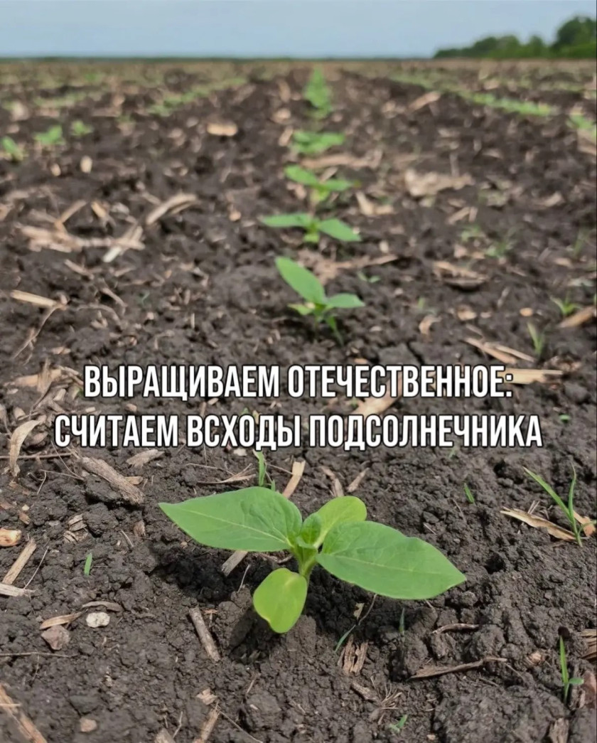 Перейти