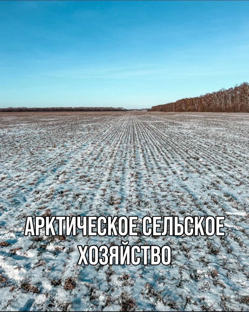 Перейти