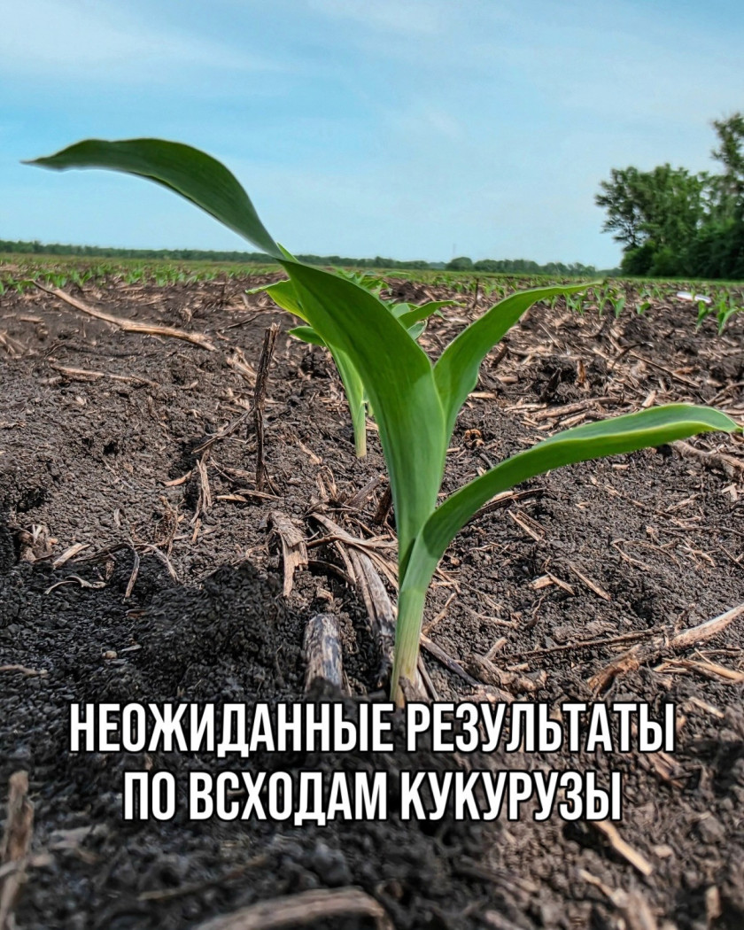 Перейти