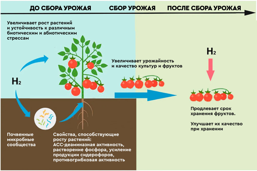 Перейти