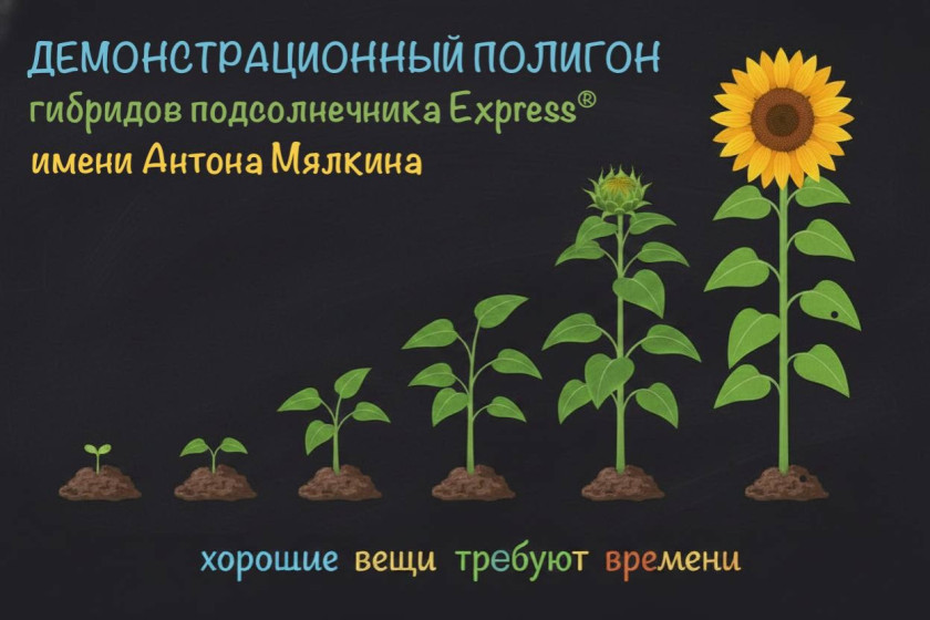 Перейти