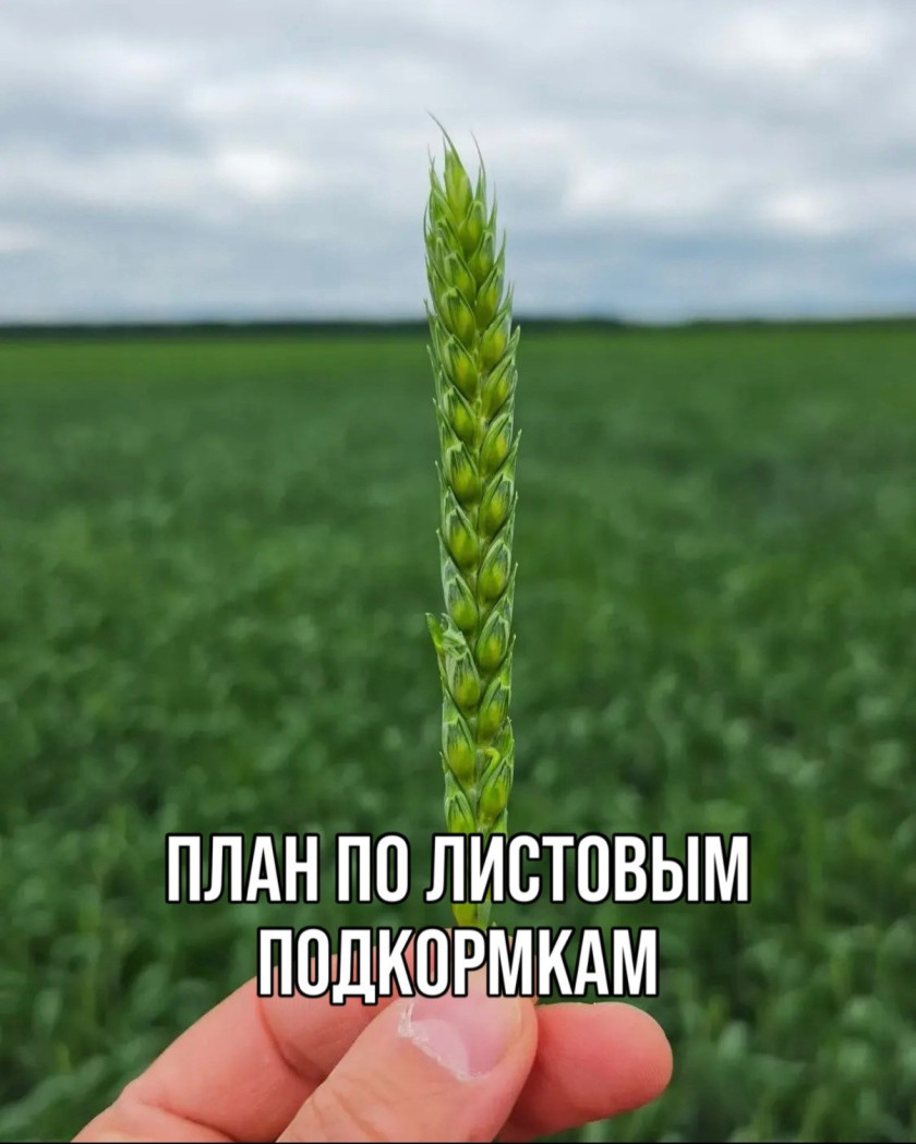 Перейти