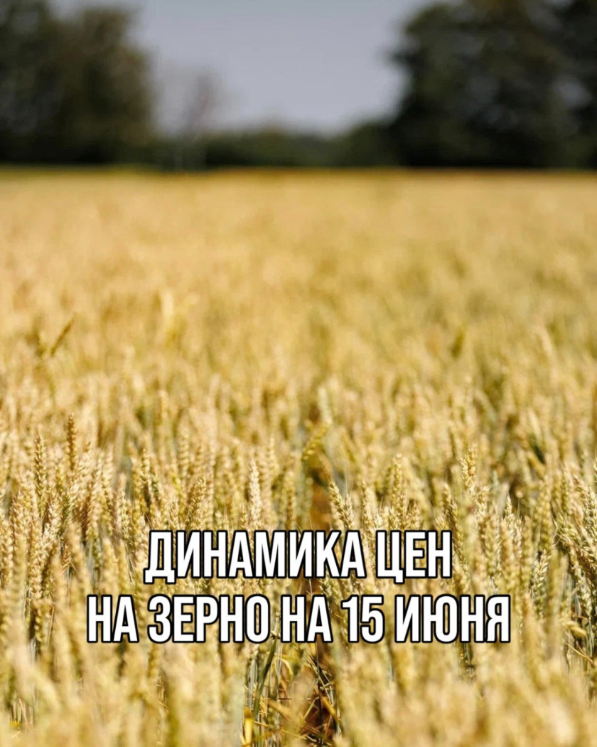 Перейти