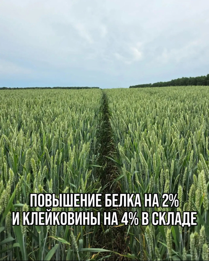 Перейти