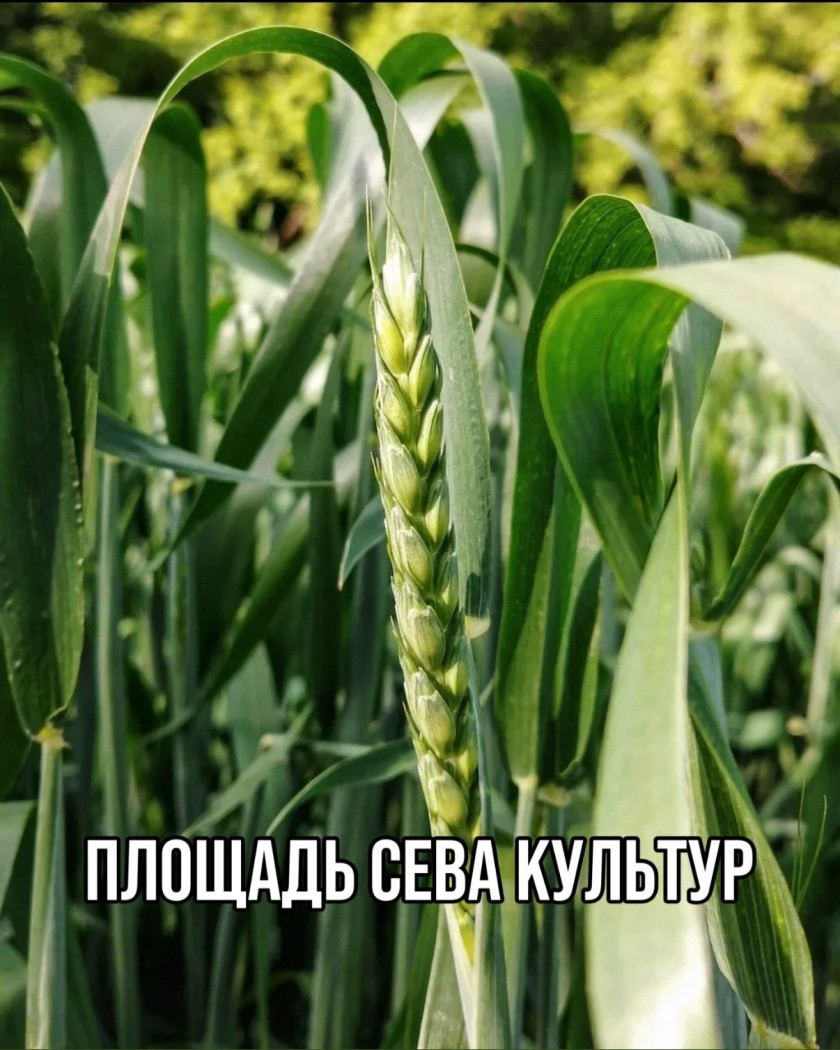Перейти