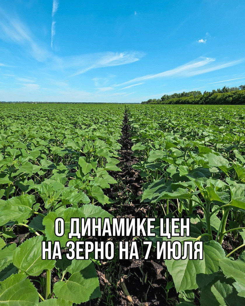 Перейти