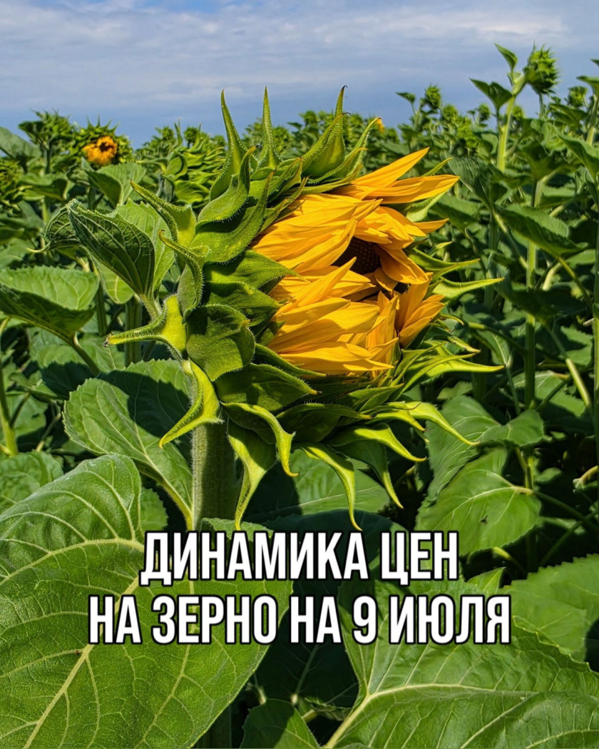 Перейти