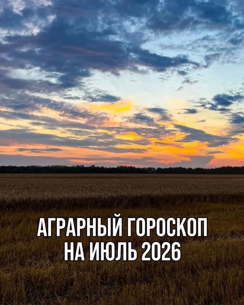 Перейти
