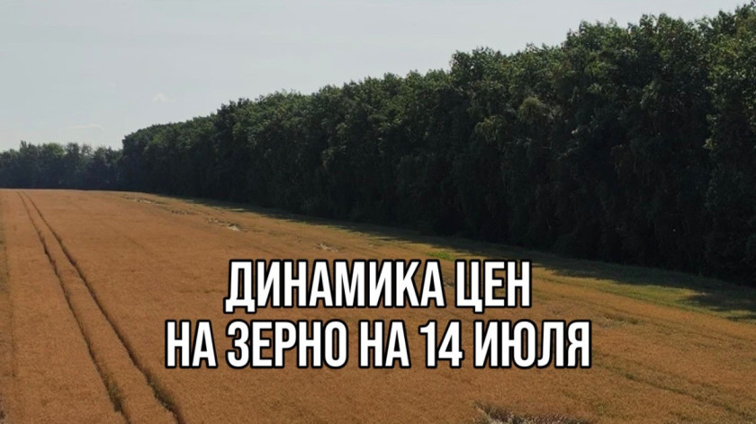 Перейти