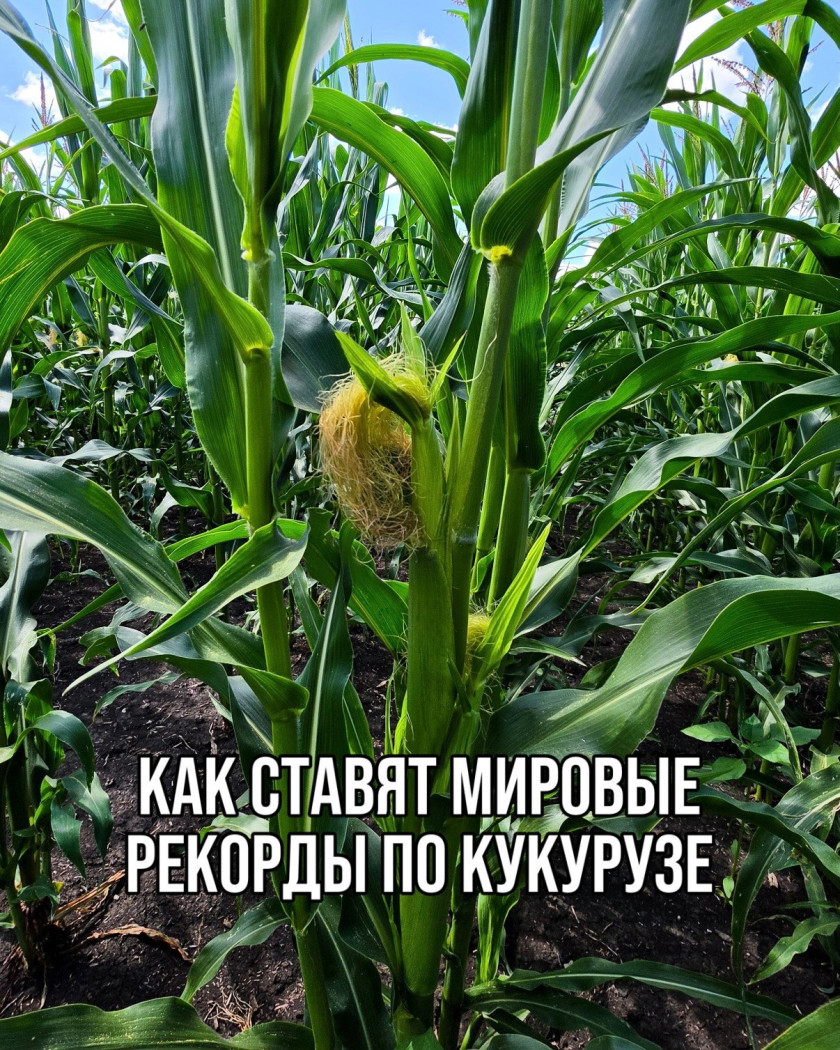 Перейти