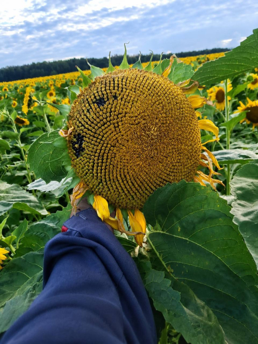 Перейти