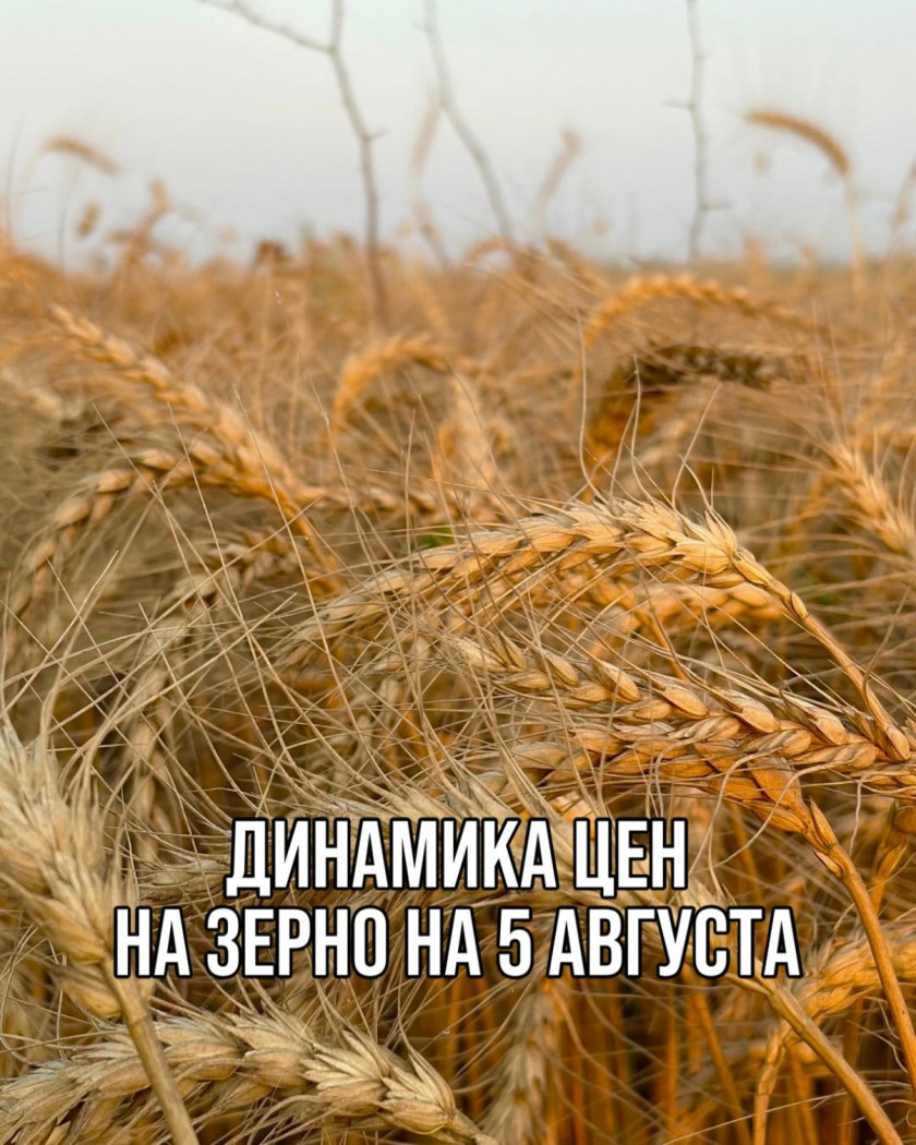 Перейти