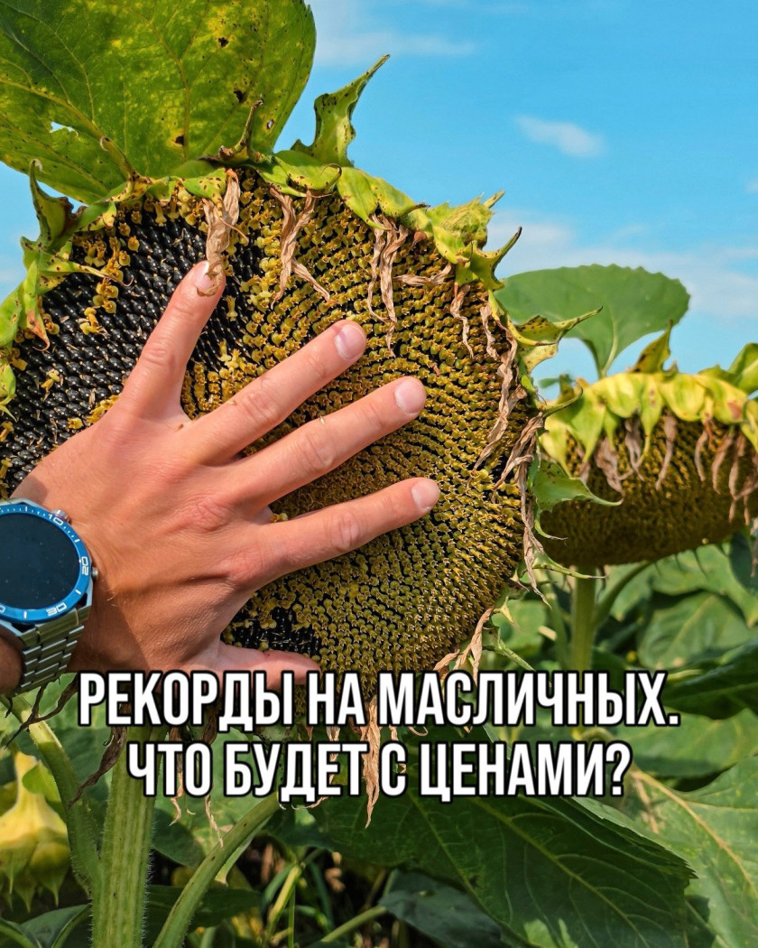 Перейти
