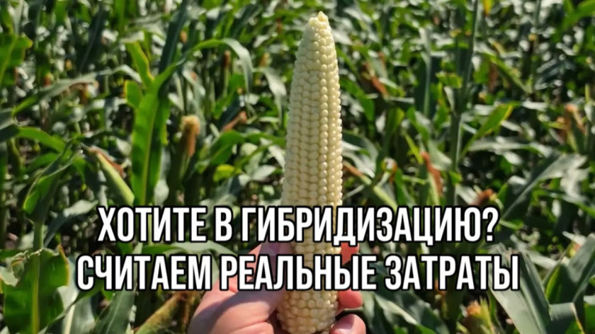 Перейти