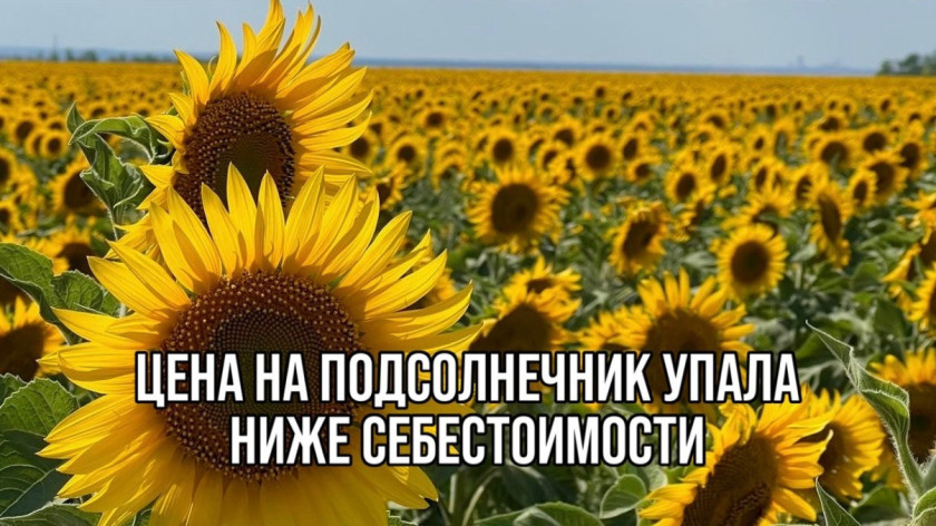 Перейти