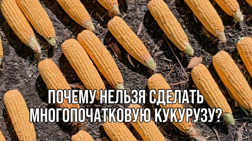 Перейти