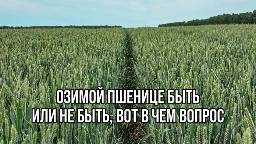 Перейти