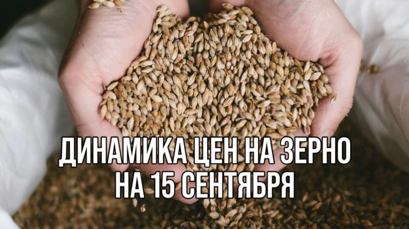 Перейти