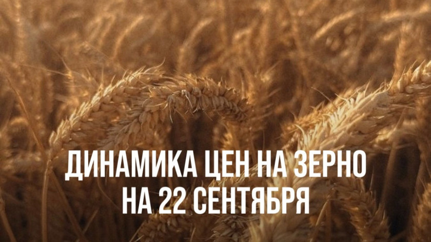 Перейти