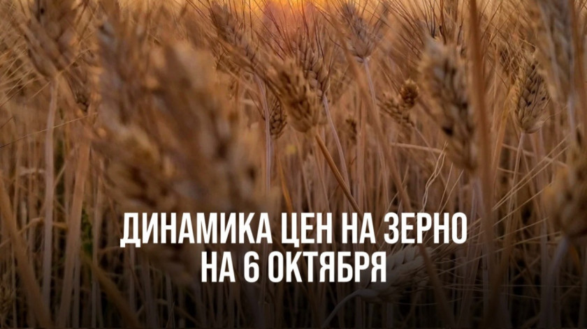 Перейти