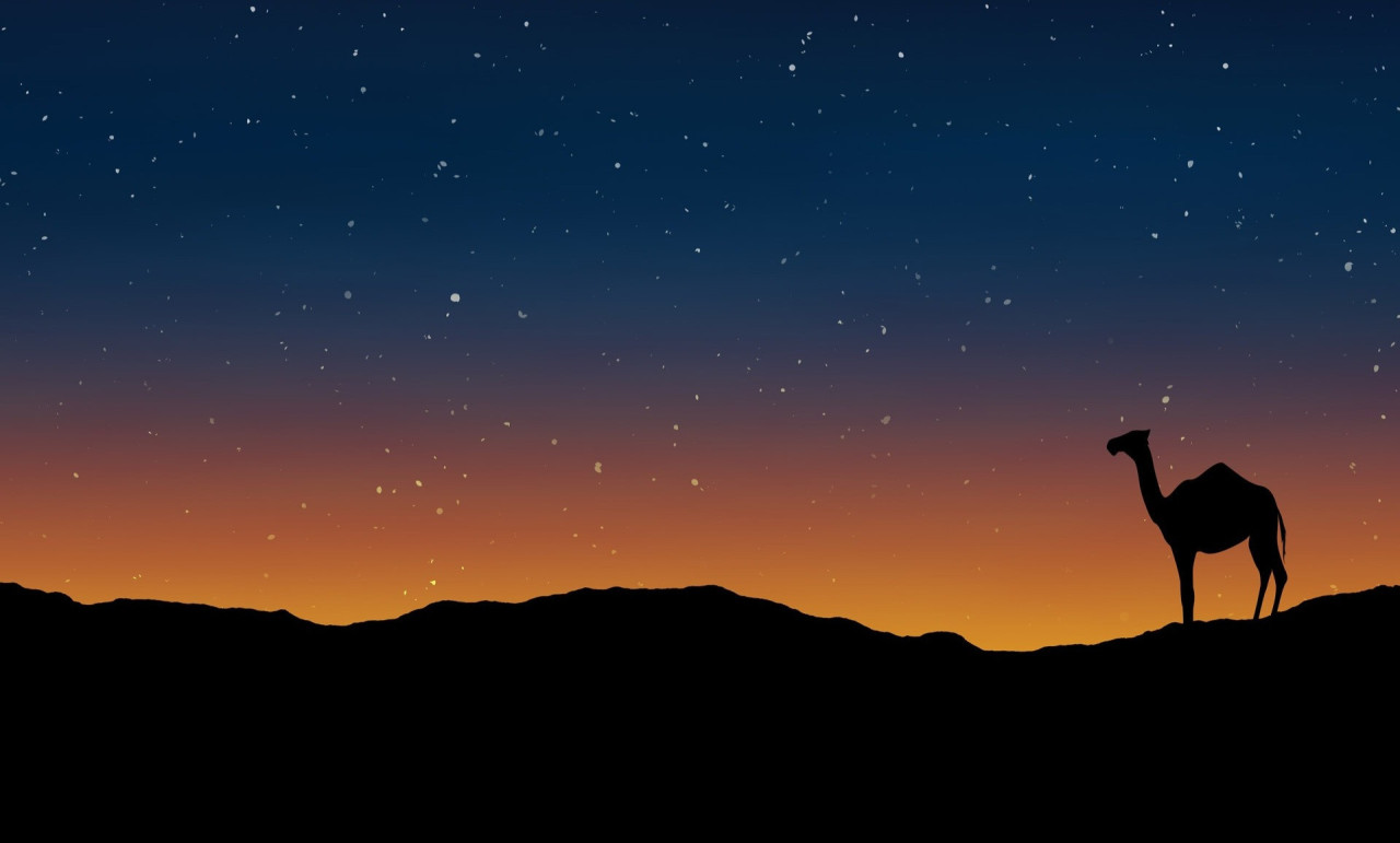 Шырынды брюнетка порно HD Скайптағы хардкор секс