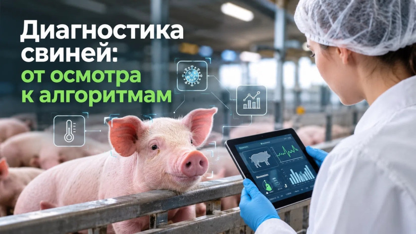 Перейти