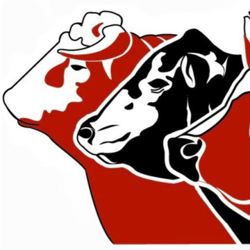 Национальный союз производителей говядины